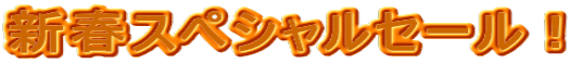 �V�t�X�y�V�����Z�[���I 