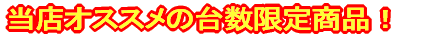 �����̑䐔���������o�C�N�I 