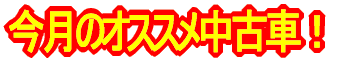 �������ߒ��ÎԃX�N�[�^�[